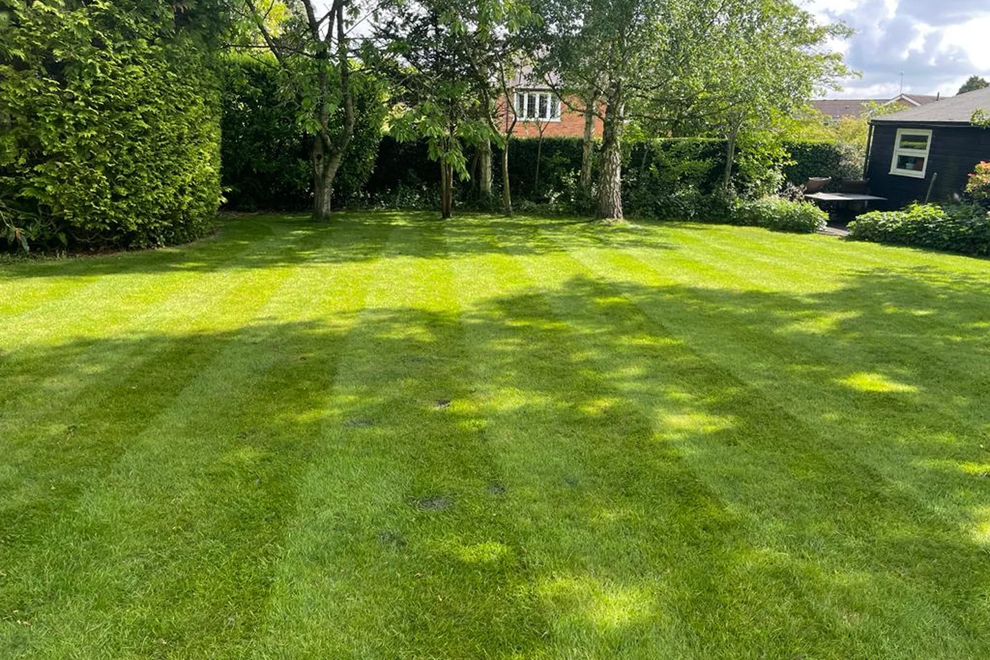 Maintained Lawn