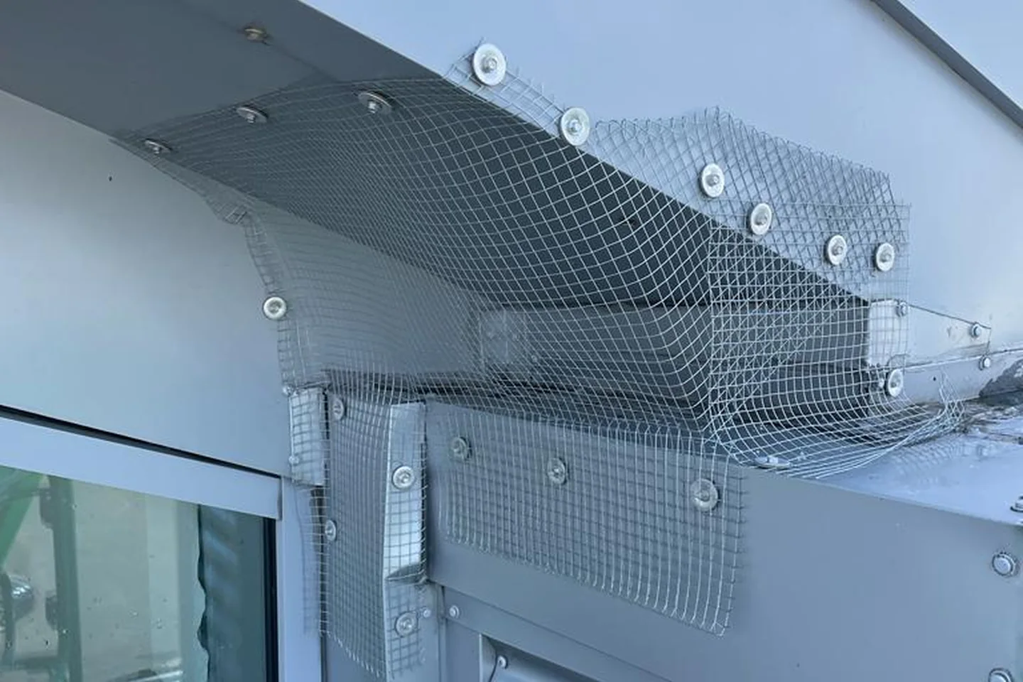 Bird Proofing Detail